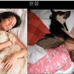 ★★개와 같이 잠을 잘<b>때</b>★★