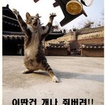 개<b>나주</b>셈ㅋㅋ