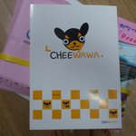 사진有) 전단지 <b>배포</b>알바 직접 해보니..