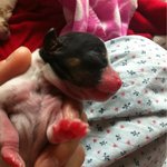 <b>엘라</b>의 출산을 기념하며