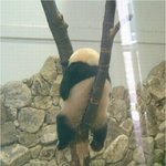 기분좋은<b>토욜</b>이벌써지나가기직전이네
