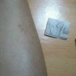 사진<b>ok</b>))))겨울동안기른다리털이젠앗녕