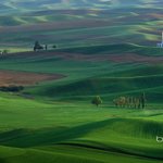 <b>네</b> <b>입</b>을 넓게 열라