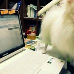 >>>> [2탄!!!!] 세종대왕의 한글사랑 <<<<