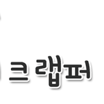 자기가수 <b>랩퍼</b> 자랑하기