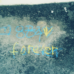 진짜 격하게 사랑하는 8공쥬아이들아