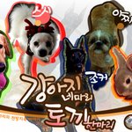 ✿강아지네마리 토끼한마리✿ 6