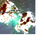 ★★★사진有재석)))한국인이 멋진이유★★★