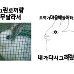 ♛전에<b>토끼</b>이상해서다시그려줬어♛