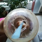 카페** 커피속에 들어있는 커다란 <b>바퀴</b>벌레