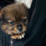 아프다는 이유 하나로 <b>산속</b>에 버려진 아이..