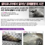 충격적인 내용의 <b>다큐멘터리</b>.., u+box로 보세요~