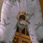 *래트를 아시나요?*