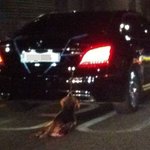 악마에쿠스 꼭 <b>처벌</b>받길원합니다