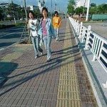 <b>대륙</b>에 시각 장애인이 없는 이유.jpg
