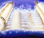 천국과 지옥! 안젤리카 2탄