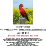 불국사에서 실종된 반<b>려조</b> 찾습니다. 여러분들의 도움이 필요합니다...