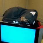 <b>유혹</b>하는 눈빛의 남자아이돌
