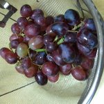 <b>oo</b>치킨을샀더니..ㅡ혐오주의ㅡ