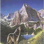 아이큐 140 이상만 볼수있다는 그사진..