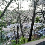 흔한 동네산의 <b>위엄</b>^---^(사진 有有有有)
