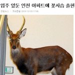 잠시<b>주차</b>중