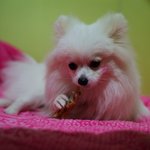 >>>> [3탄!!!] 세종<b>대왕</b>의 한글사랑 <<<<