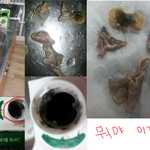 두유에서 이상한게 나왔어요.. 무슨 벌레 껍질 같은데.. <징그럼+혐오...