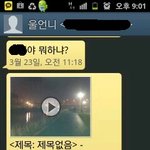??<b>꽃</b>이 피었습니다