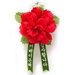 어버이날을 대비해 건강 선물 후보 뽑아봤어요 >,<