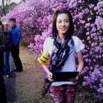 벚꽃 구경 인증한 스타들
