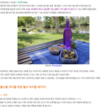 [봄<b>소풍</b>패션왕] 봄나들이 필수 패션 아이템들을 소개합니다.