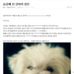 술먹고 산 강아지 글올리신분 보세요