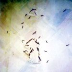 ★★★★★(공포)<b>벌레들</b>의 습격★★★★★