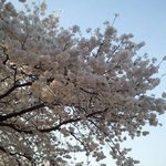 내 남자친구는 화장품을 사랑하는 연구원!
