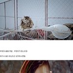 판타스틱 <b>베이비</b> 뮤비 해석