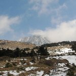 사<b>제비</b>