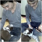 울집 똥강아지 두부입니다 ^^♡