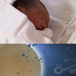 난임부부 최선의 선택은 임신촉진제가 아니다.