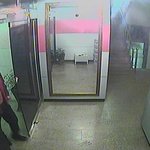 나이 쳐드신 모니터 도독<b>노모</b> 짭짤쌉쏘름한 개벼룩