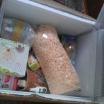 [햄스터 흥해라!!] * 울집 골든햄스터를 소개합니다 *