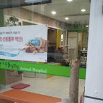 [<b>부산</b>] 개죽이고 도망간 사람들....!!!!