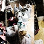 (방사진 추가) 더러운 언니때문에 미치겠습니다!!