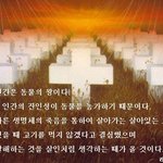 동물<b>시체</b>를 만진적 있나요?