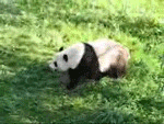 싸우고 <b>지랄</b>하고 닉변하고 다 좋은데
