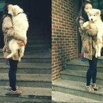 (베플약속)한 발랄하는 김장군이판