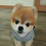 한국판 부우~저희집 별양을 소개합니다^^★