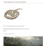 ◆117탄 지구 역사상 가장 거대한 뱀◆