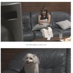 ★★소름쫙- 공포 일본드라마#4★★