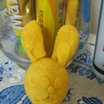 ★★★우리언니또라이인증사진有느님★★★